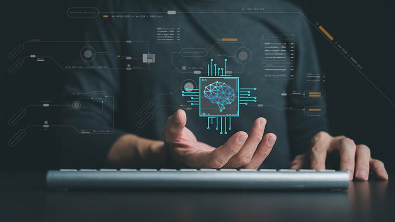 Custom software development team